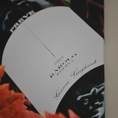 Aparthotel Ca' Dei Vini D'alba Castagnito